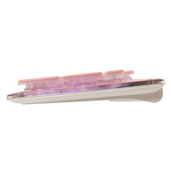 White Shark Gaming membrane keyboard TACHI, US, pink 