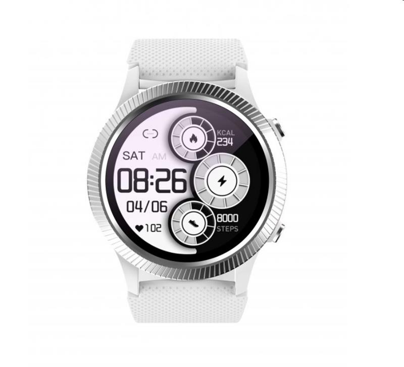CARNEO Athlete GPS strieborný 