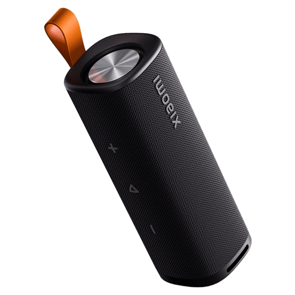 Xiaomi Mi S29D Xiaomi Sound Outdoor 30W (Black)